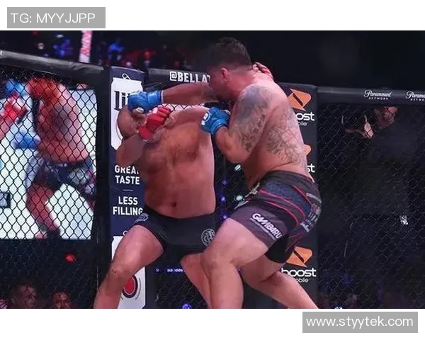 菲多与米特里奥的巅峰对决谁能在拳坛中脱颖而出