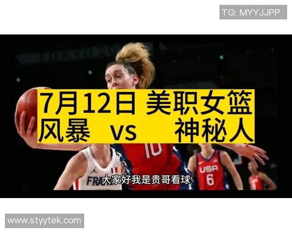 风暴与神秘人对决分析及推荐策略探讨